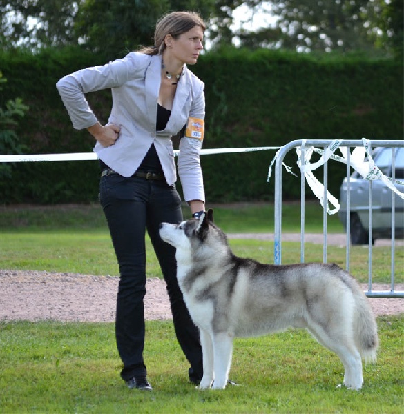 Exclusive design of Artic Ocean - concourant pour le C.A.C.S