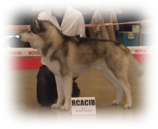 Exclusive design of Artic Ocean - 1 er EXCELLENT / C.A.C.S / R.C.A.C.I.B