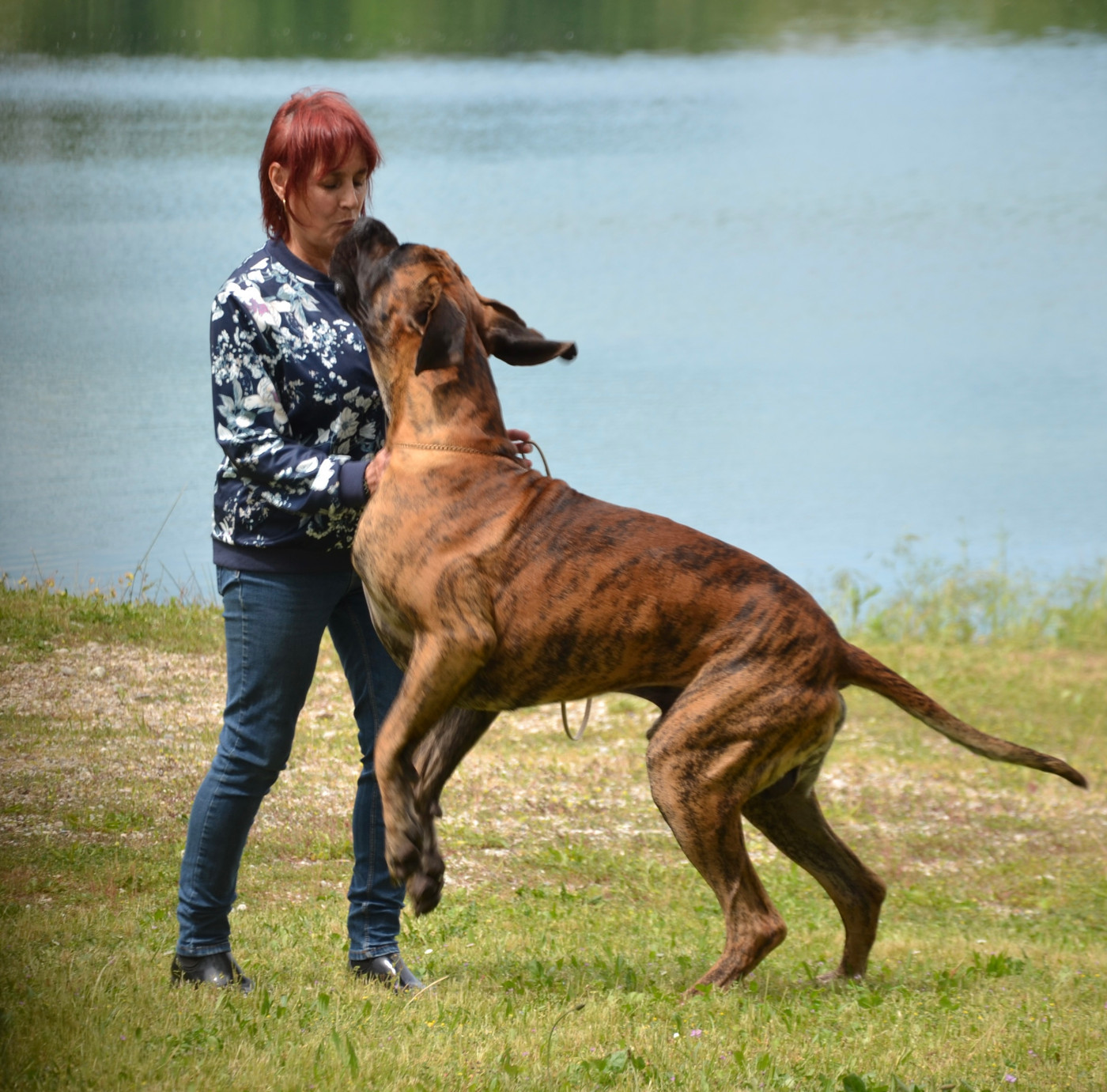 Publication : des Joyaux d'Allythelia Auteur : Jean-Yves FREESS