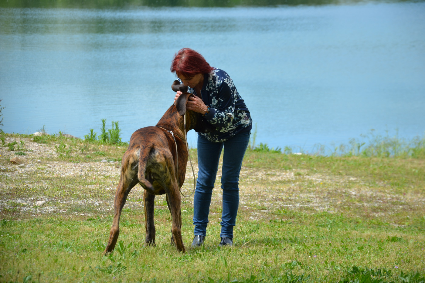 Publication : des Joyaux d'Allythelia Auteur : Jean-Yves FREESS