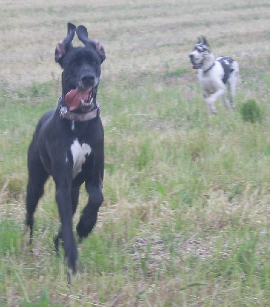 Cfe evreux Cfe evreux