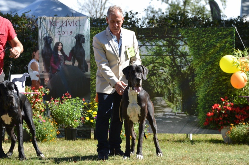Maï-ly De La Vallee Argentee - TRÈS BON
