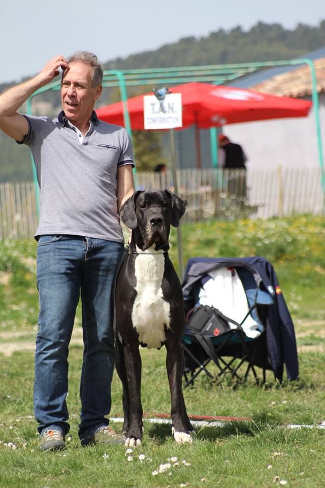 Maï-ly De La Vallee Argentee - 3 ème Excellent