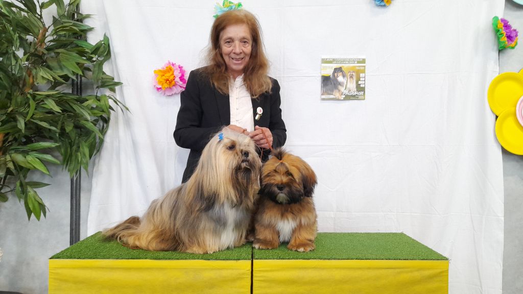 CH. Tibet du chant d'Eliote - 1er excellent en classe champion BOB