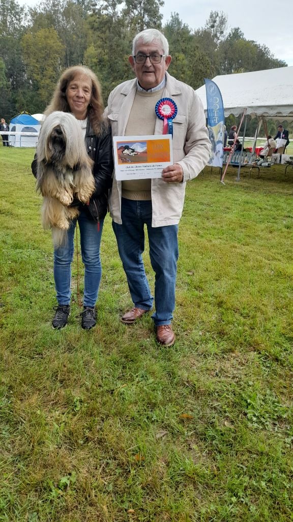 CH. Tibet du chant d'Eliote - 2eme excellent en champion lion d'argent
