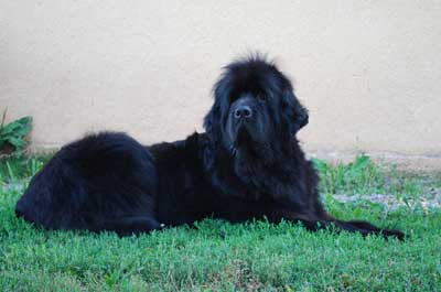 Publication : du Lac Powell