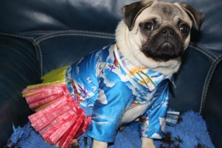 Publication : d'Amour du Temple Ming Kee Auteur : christine Landry