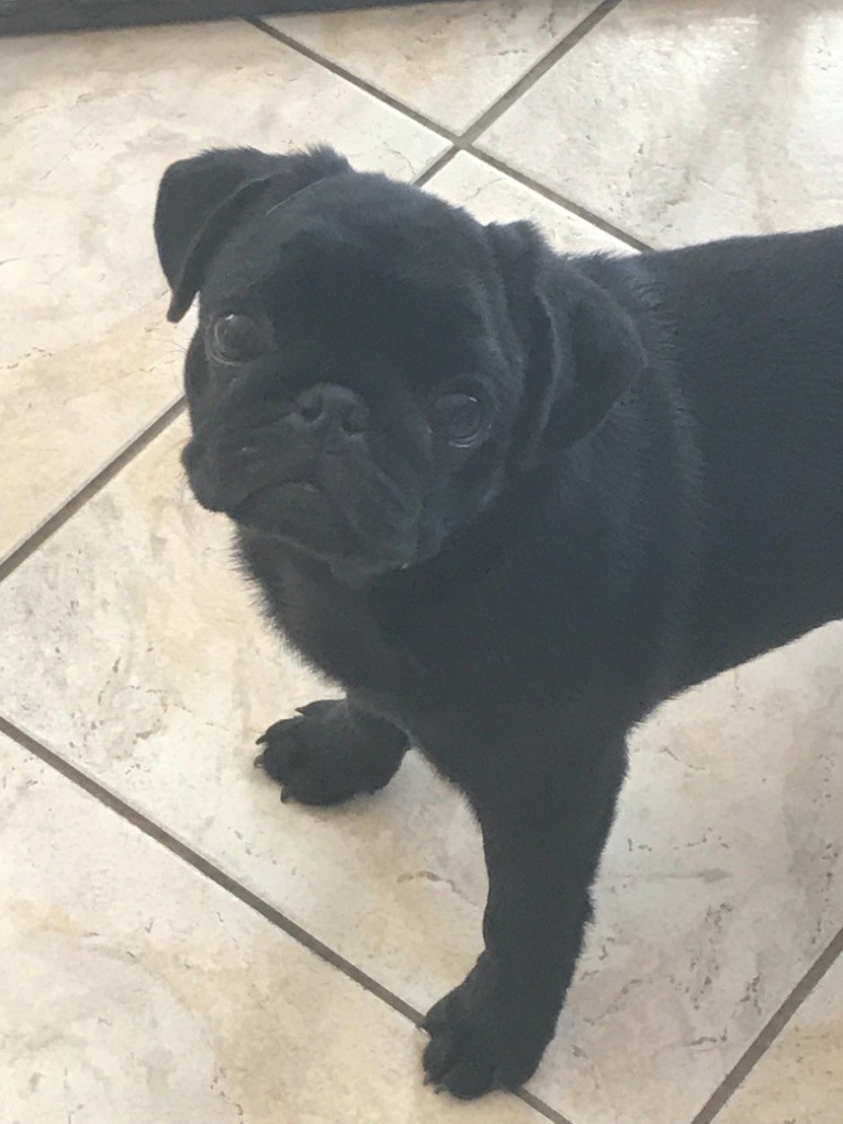 Publication : d'Amour du Temple Ming Kee