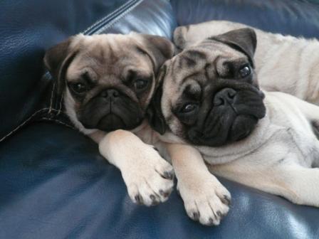 Publication : d'Amour du Temple Ming Kee Auteur : christine Landry