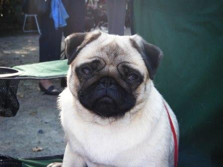 Publication : d'Amour du Temple Ming Kee Auteur : christine landry