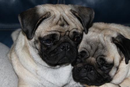 Publication : d'Amour du Temple Ming Kee Auteur : christine Landry