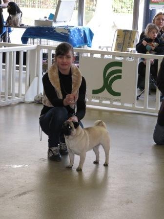 Désirée Du sceau-imperial - 4 ème excellent