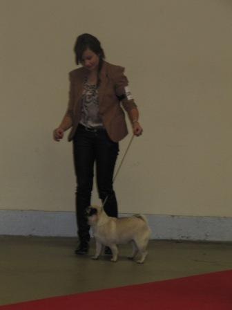 First lady d'Amour du Temple Ming Kee - 3ème Excellent