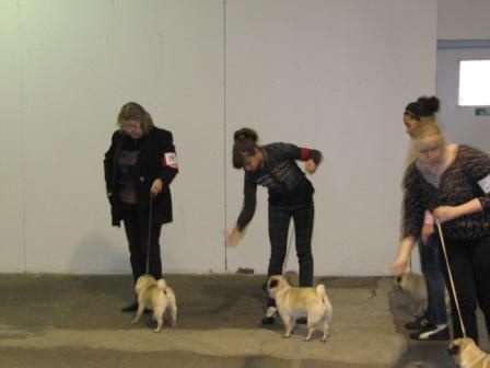 First lady d'Amour du Temple Ming Kee - 4 ème excellent