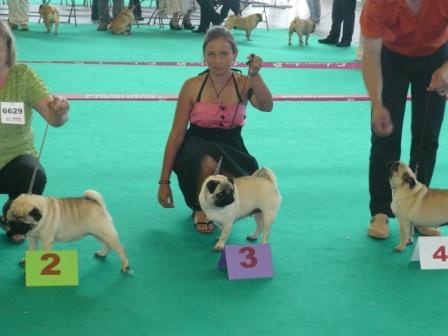 Désirée Du sceau-imperial - 3ème Excellent classe ouverte