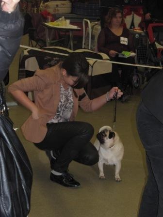 First lady d'Amour du Temple Ming Kee - Excellent