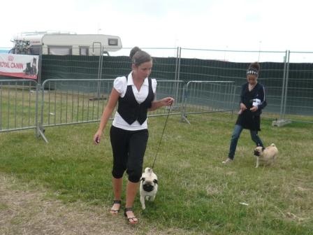 Désirée Du sceau-imperial - 1er exc avec CACS ET MEILLEUR DE RACE classe ouverte