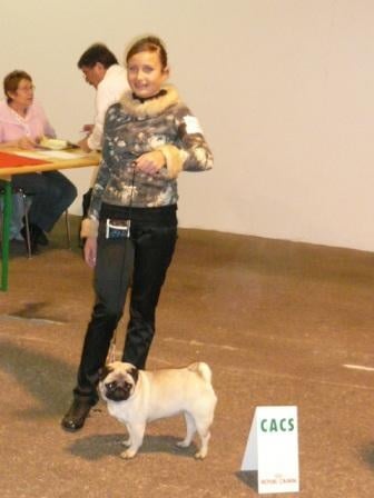 Désirée Du sceau-imperial - 1er exc CACS ET RCACIB