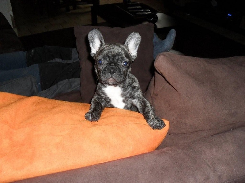 Publication : de la rosée d'autan