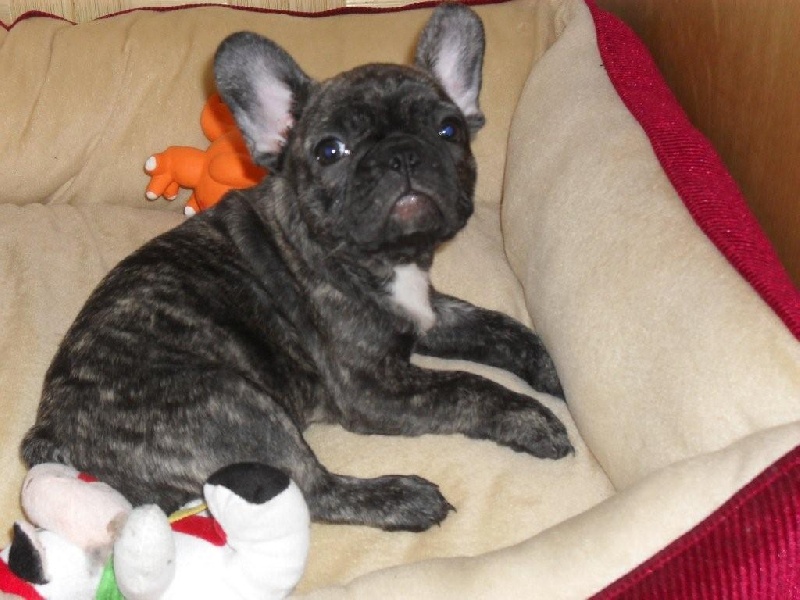 Publication : de la rosée d'autan