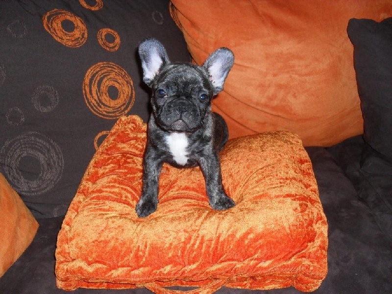 Publication : de la rosée d'autan