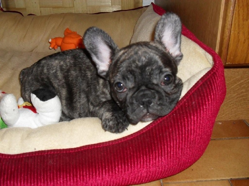 Publication : de la rosée d'autan