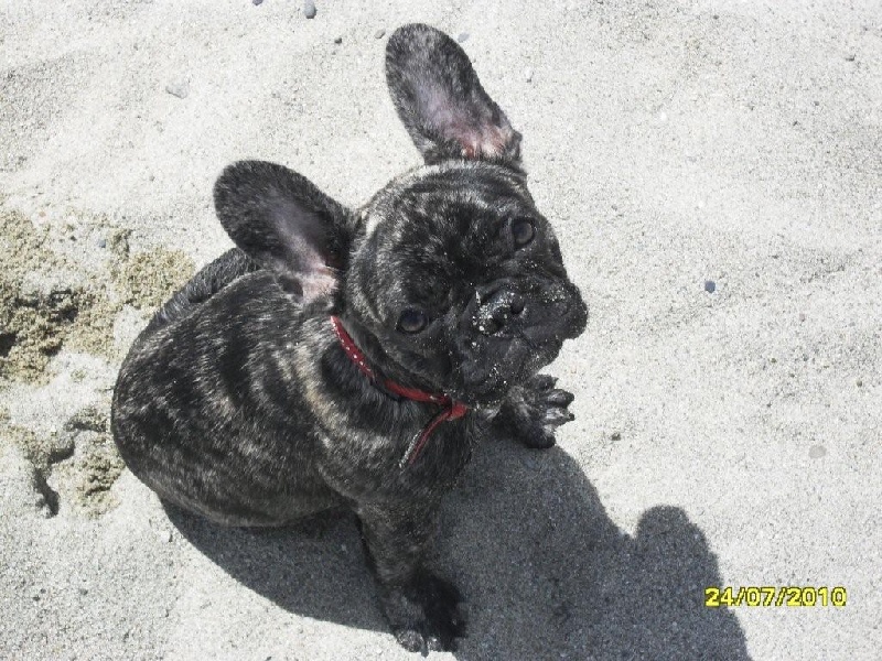 Publication : de la rosée d'autan