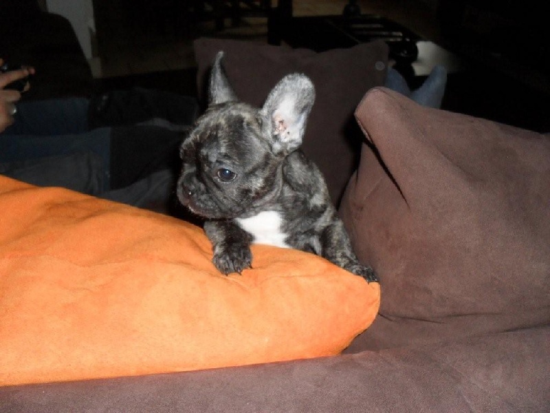 Publication : de la rosée d'autan