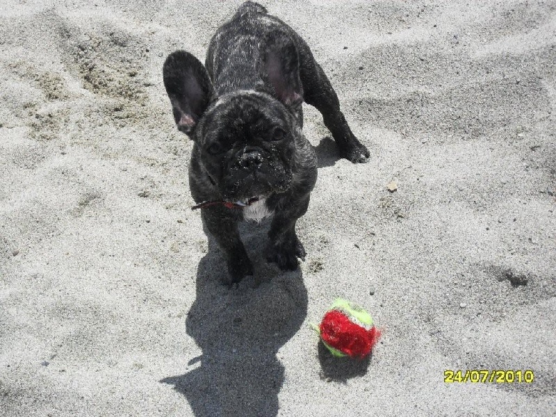 Publication : de la rosée d'autan