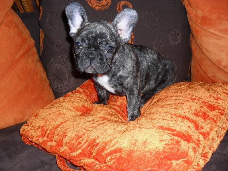 Publication : de la rosée d'autan