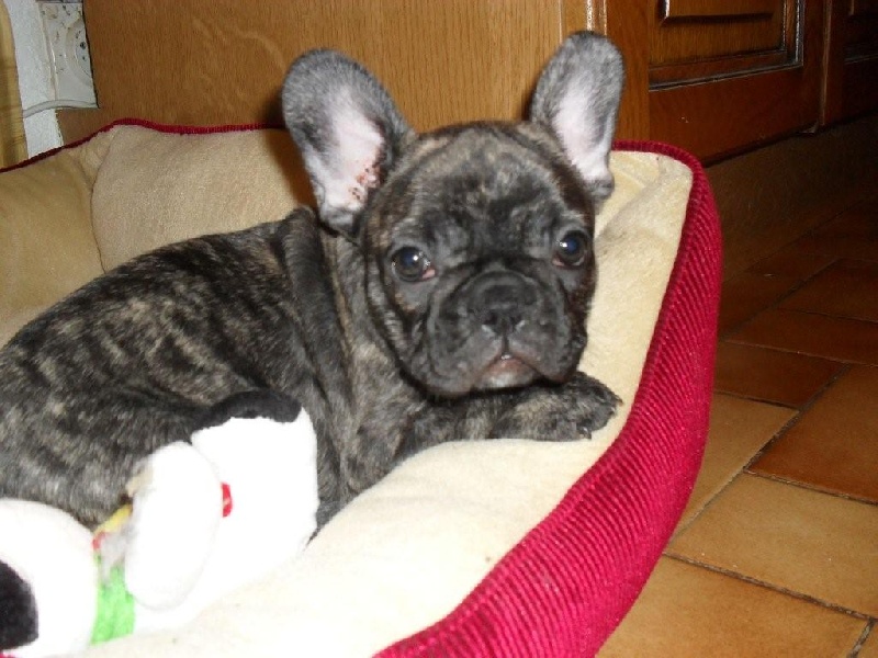 Publication : de la rosée d'autan