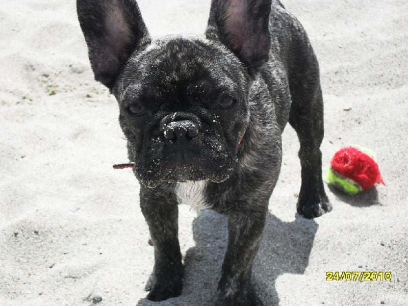 Publication : de la rosée d'autan