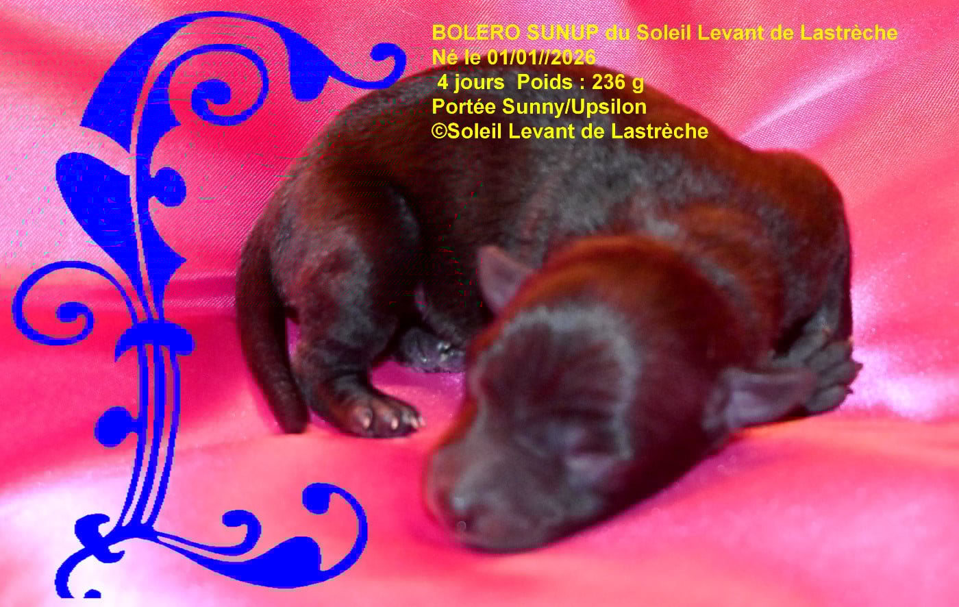 BOLERO SUNUP du soleil levant de lastreche