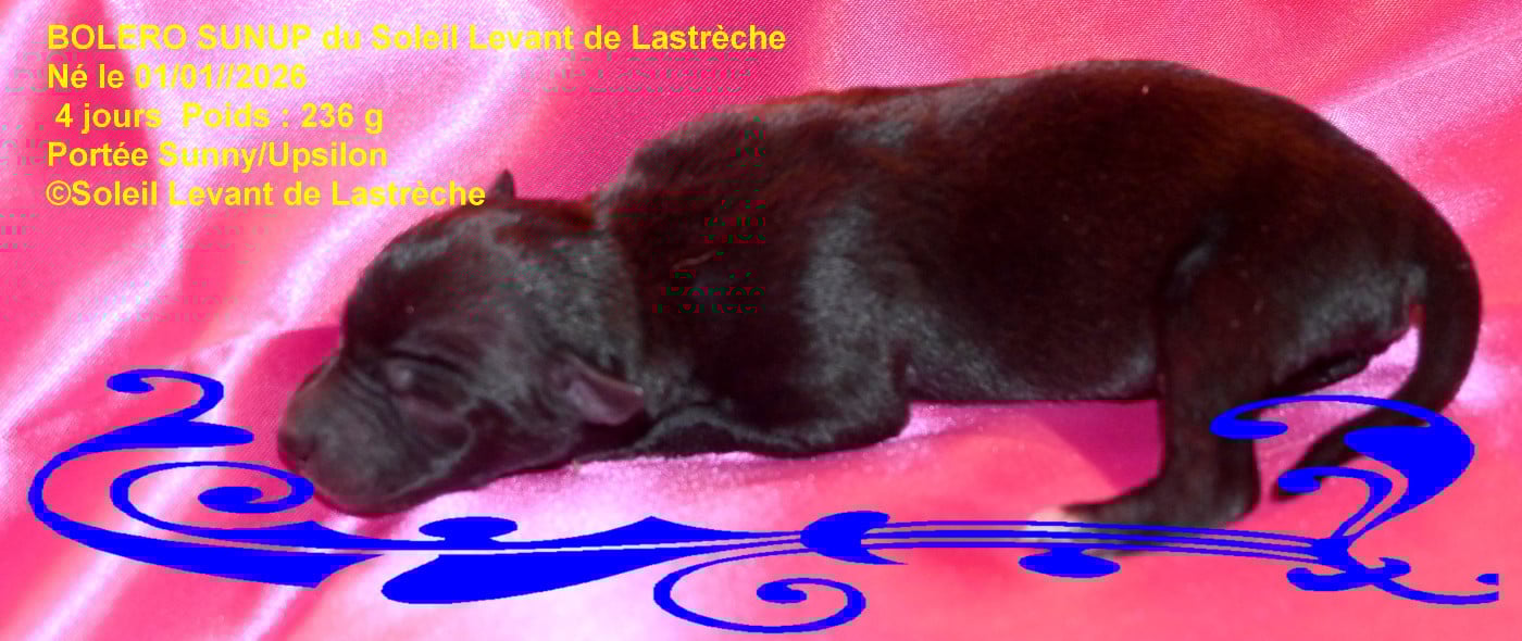 BOLERO SUNUP du soleil levant de lastreche