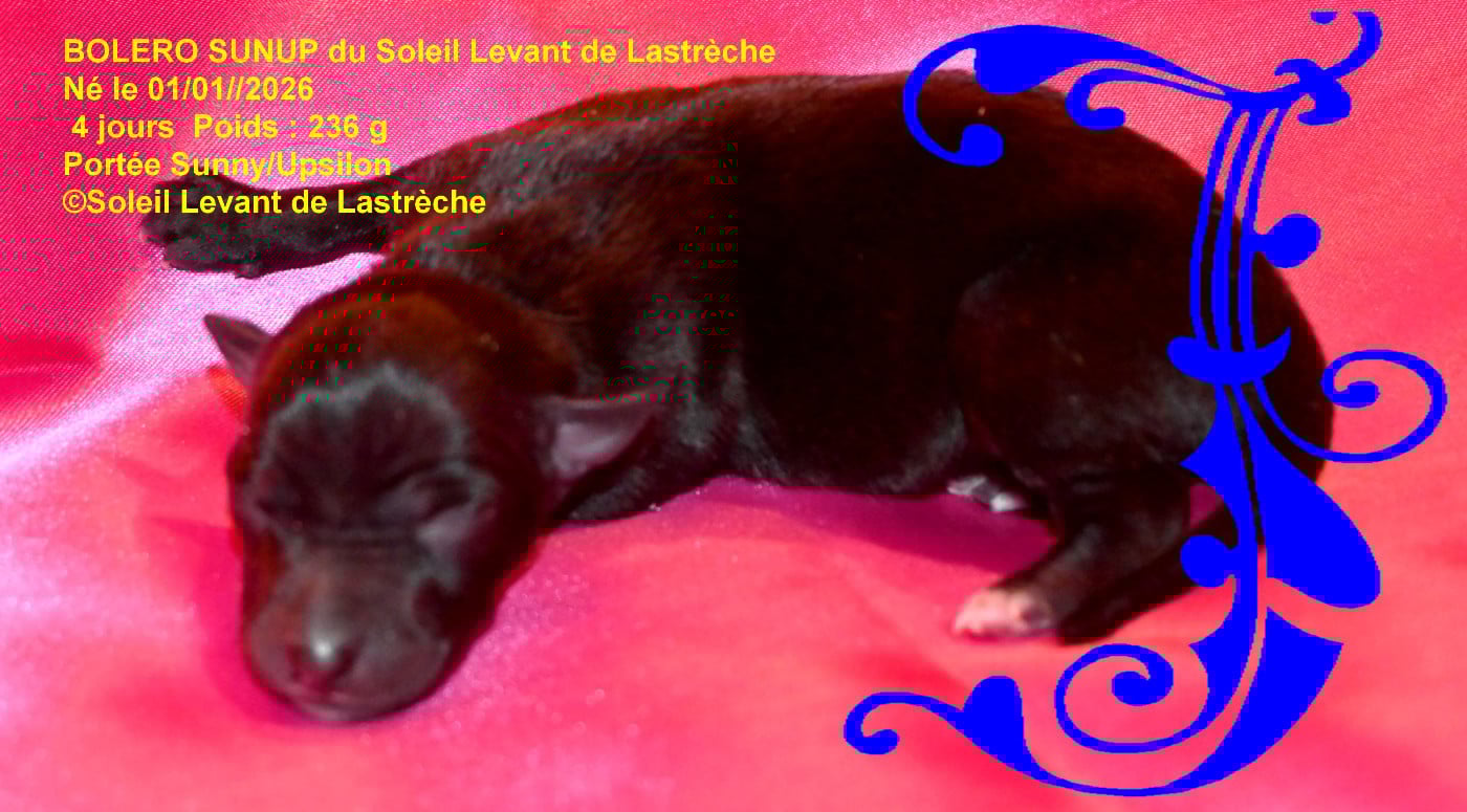 BOLERO SUNUP du soleil levant de lastreche