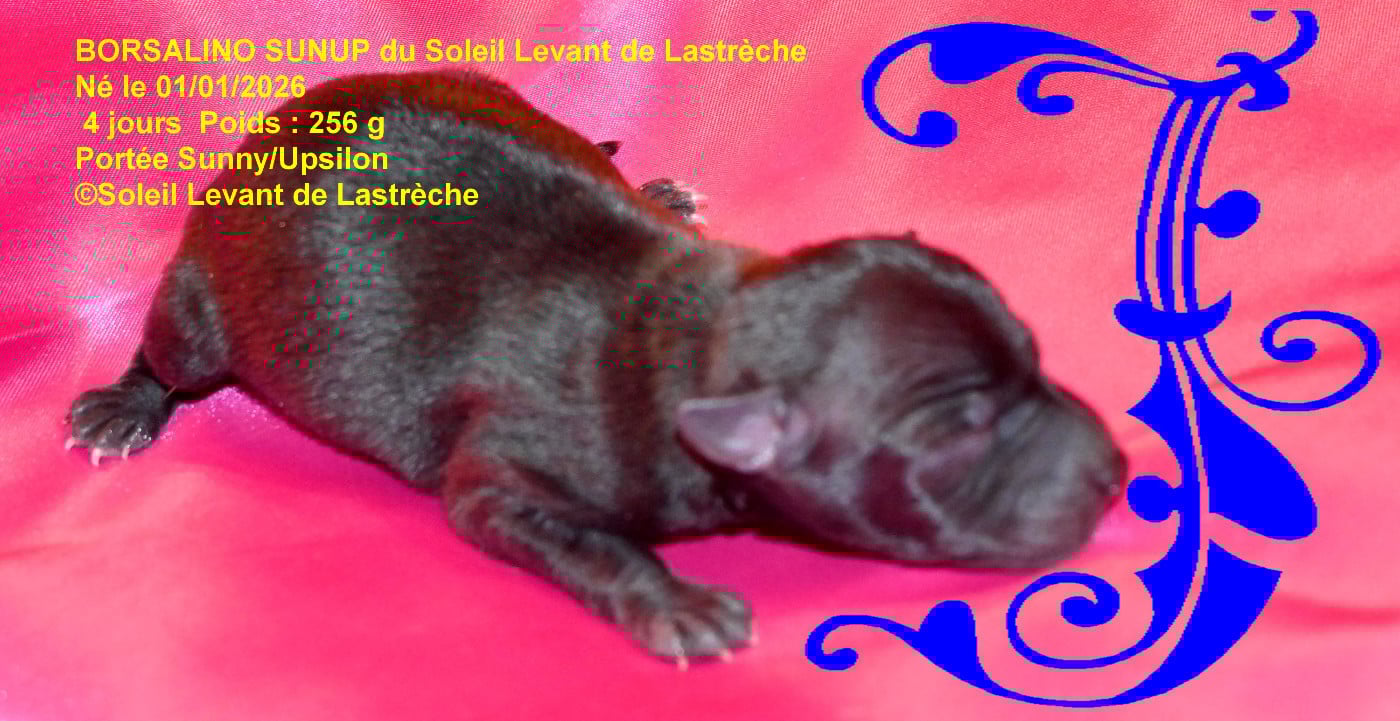 BORSALINO SUNUP du soleil levant de lastrèche