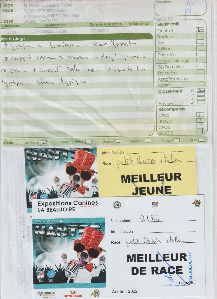 Smarties olrav du soleil levant de Lastrèche - exc 1ere meilleur jeune meilleur de race