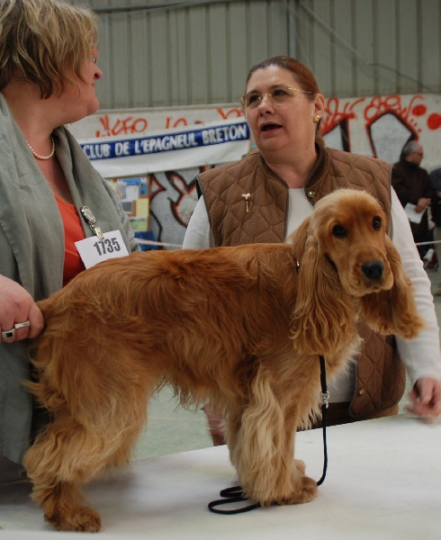 Eden de kerdero - 1er Très Bon (??!!) - Classse Jeunes