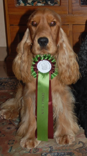 Eden de kerdero - CONFIRME