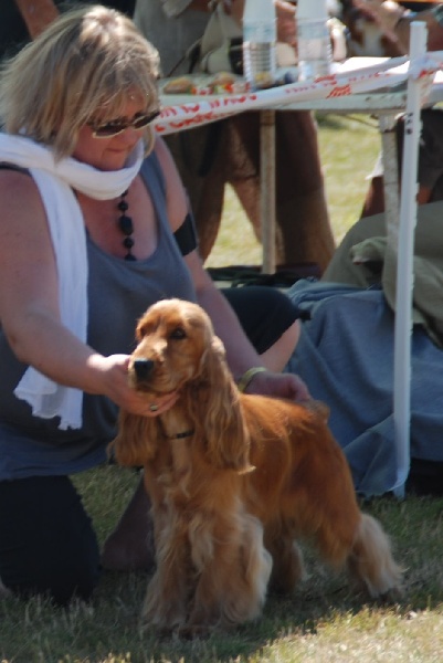 Eden de kerdero - 1er EXCELLENT - CLASSE JEUNE