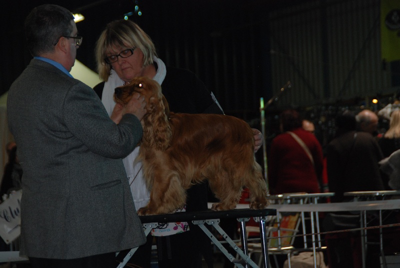 Eden de kerdero - 2ème EXCELLENT - Classe Intermédiaire