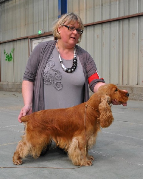Eden de kerdero - 1er EXCELLENT + CACS - Classe intermédiaire Mâles
