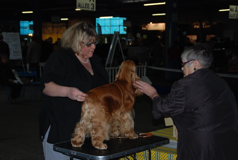 Eden de kerdero - 2ème EXCELLENT - Classe Intermédiaire