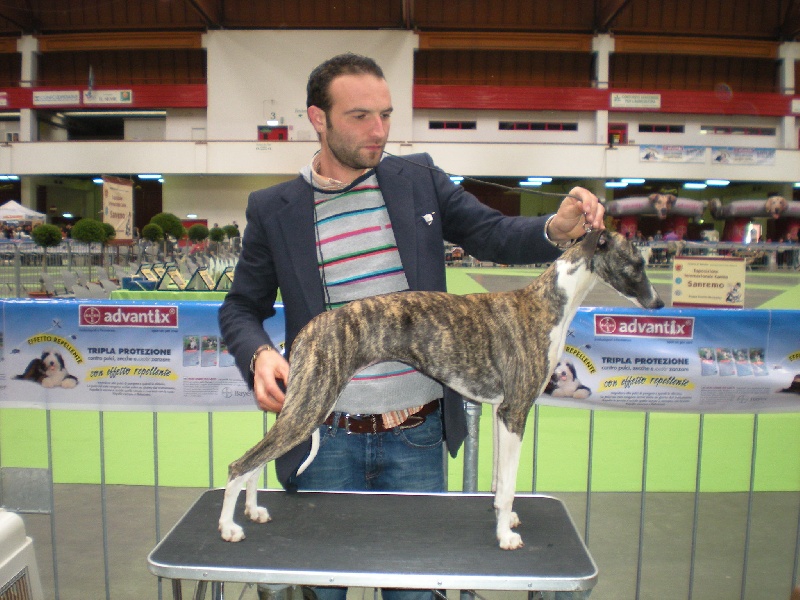 Design'addict de l'orlyne de Standerling - Tres prometteur