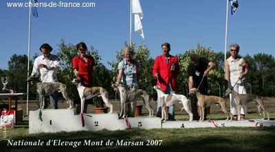 CH. Best angel de l'orlyne de Standerling - 1°EXC