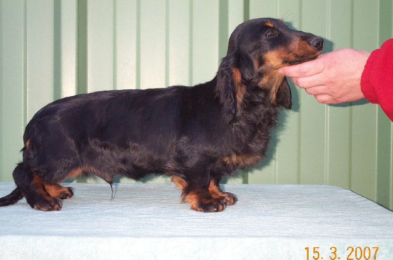 Publication : des corsaires de feux