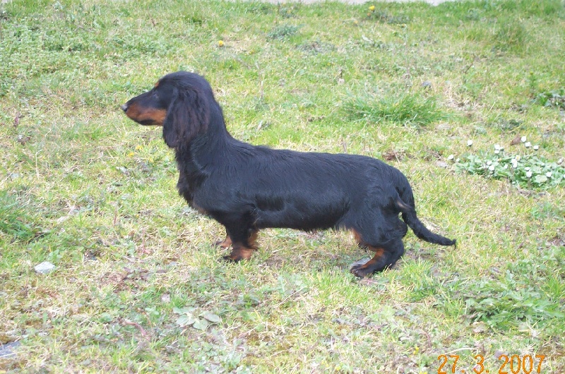 Publication : des corsaires de feux