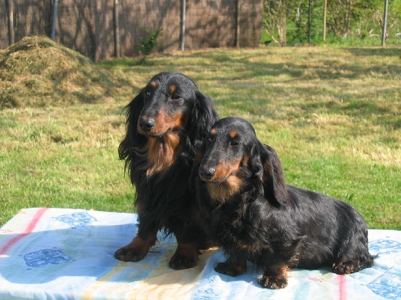 Publication : des corsaires de feux