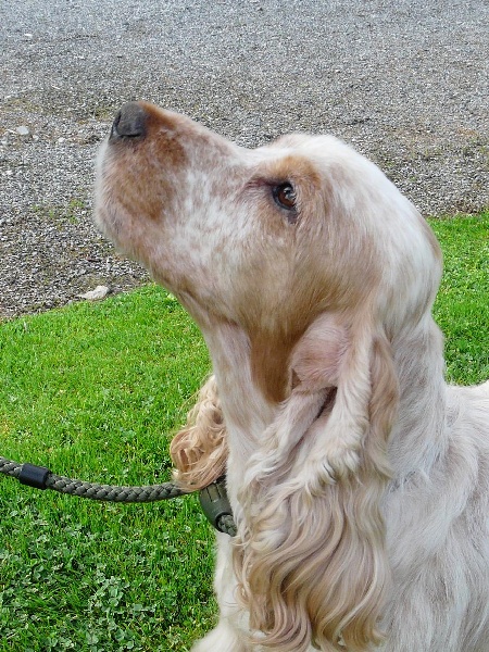 Publication : Domaine bagheera Auteur : sabrina panfilo