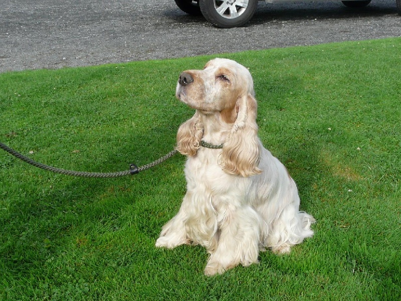 Publication : Domaine bagheera Auteur : sabrina panfilo